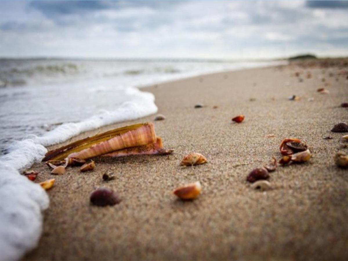 Frühstückspension Fronte Mare